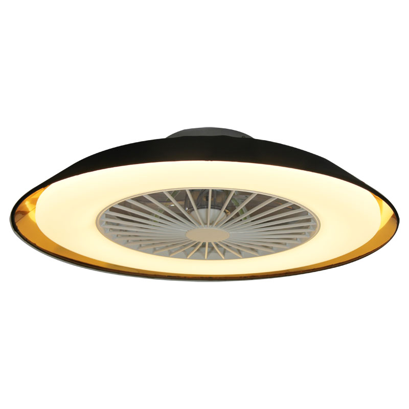 ceiling fan light