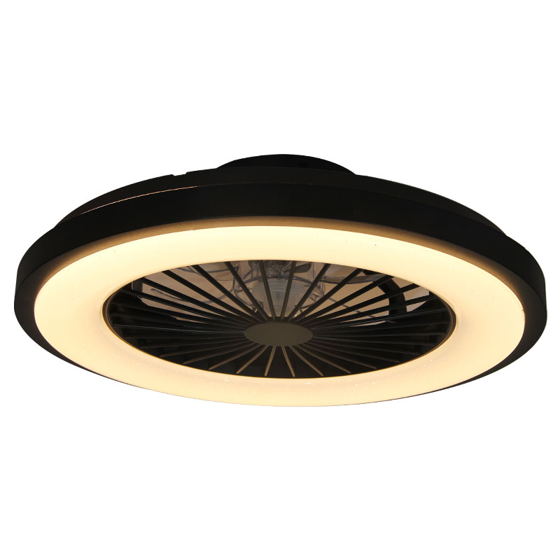 ceiling fan light